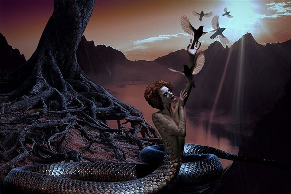 梦见蛇变人是什么意思