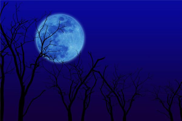 梦见月亮挂在树梢